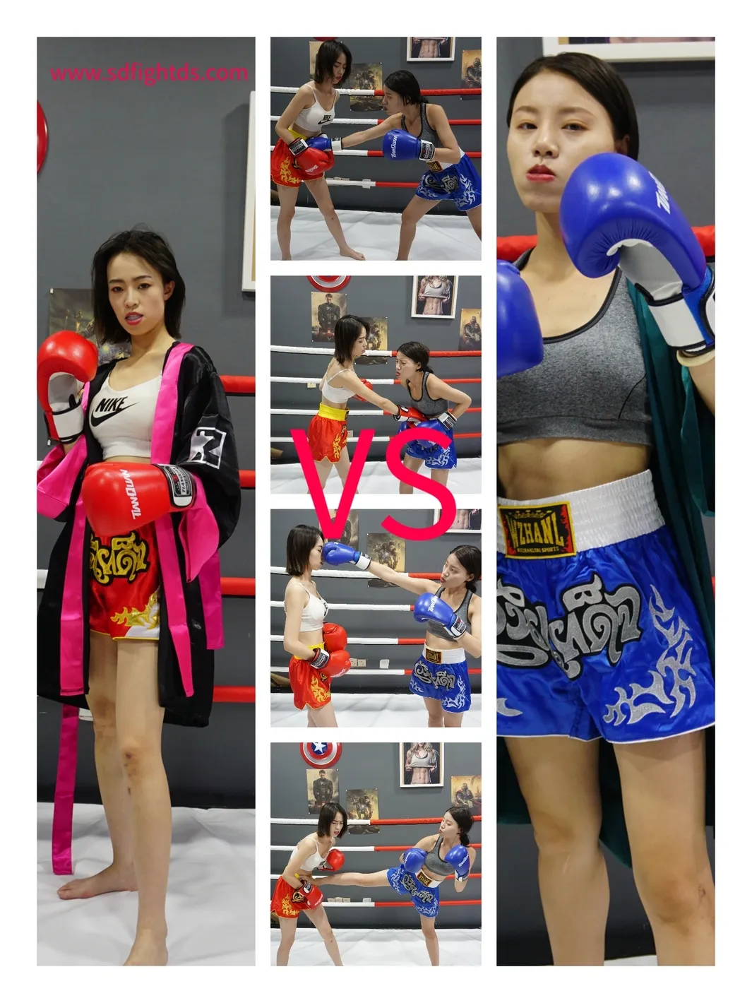 SD-F015-weiwei vs xingxing